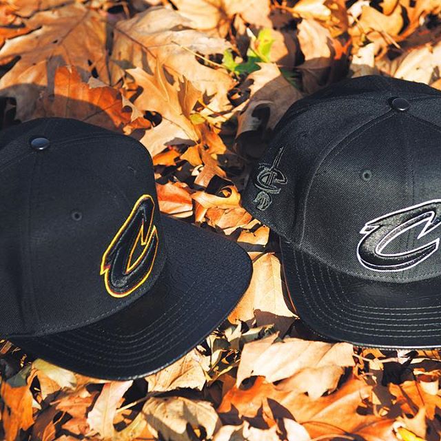 pro standard strapback hats