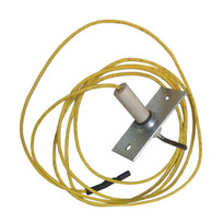 48DP500613 - Flame Sensor