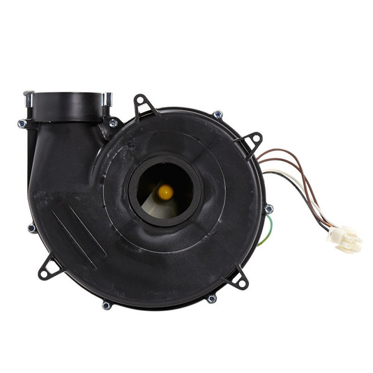 70-102691-81 - Induced Draft Blower w/Gasket