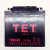 TrailMaster Battery 12N9-BS - Fits All Mini, Mid & Blazer Go Karts