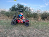 Trailmaster mini go kart holds a 6 year old and a 4 year old