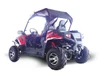 Trailmaster Challenger 300 EX 300cc SXS, off-road utility vehicle with rugged tires, a red and black body design, and a black canopy roof.