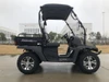 Trailmaster Taurus 200U utility SXS UTV, side view of black off-road utility vehicle with large tires and roof canopy
