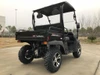 Trailmaster Taurus 200U, utility SXS UTV, black all-terrain vehicle with a cargo bed and rugged tires parked outdoors.
