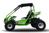 TrailMaster 200 XRS Go Kart with Carburetor, green off-road go-kart with roll cage, seats, and large tires.