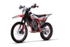 TrailMaster TM35 250 Full-Size Manual Dirt Bike