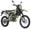 TrailMaster TM38EX (300 EFI) Deluxe Dual-Sport Dirt Bike, a green and black off-road motorcycle with knobby tires, dual front suspension, and racing decals.