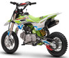 TrailMaster SK110S 110cc Semi-Automatic Kids Dirt Bike, front view showing green, white, and black design with knobby tires, suspension, and exhaust system.