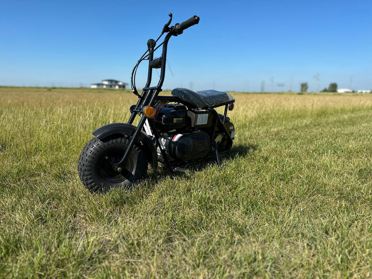 TrailMaster Storm 200 MiniBike, black mini electric dirt bike with thick tires, parked on grassy field under clear blue sky.