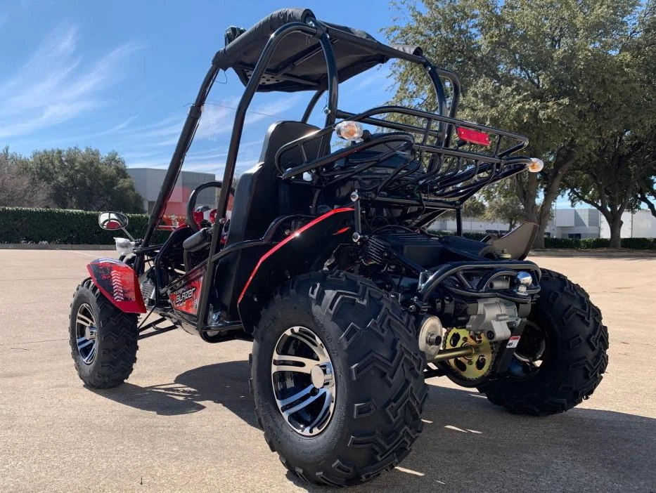 TrailMaster Blazer 200 EX Go Kart, a full-size youth and teen go-kart with roll cage, electric start, and reverse feature parked outdoors on a sunny day.