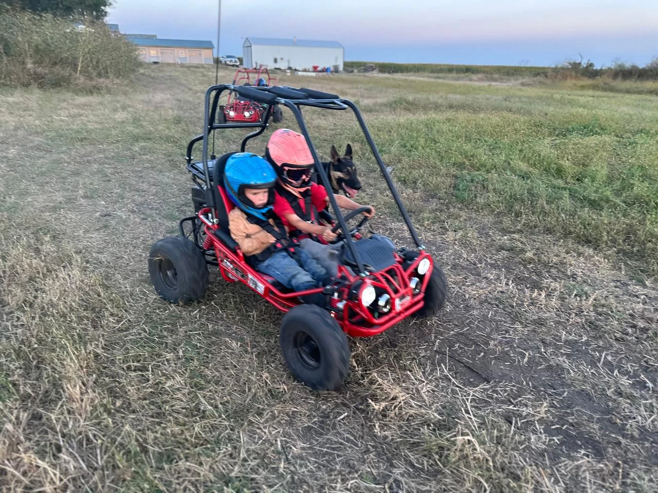 TrailMaster Mini XRX/R+ Go Kart with Reverse, assembled outdoor mini go-kart with two children and a dog, off-road dirt terrain, suitable for ages 4 and up.