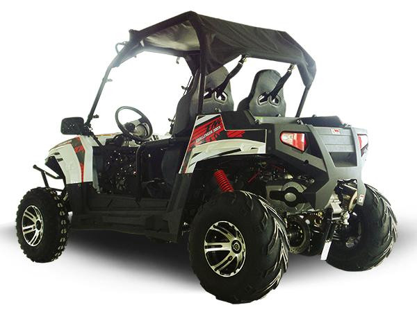 Trailmaster Challenger 300 EX 300cc SXS