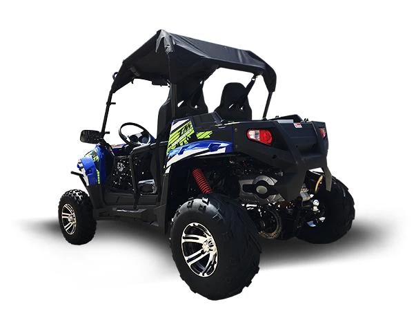 Trailmaster Challenger 300 EX 300cc SXS, a rugged side-by-side utility vehicle with large off-road tires, a black roof, and a sturdy black and blue body design for outdoor adventures.