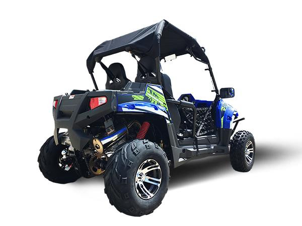 Trailmaster Challenger 300 EX 300cc SXS