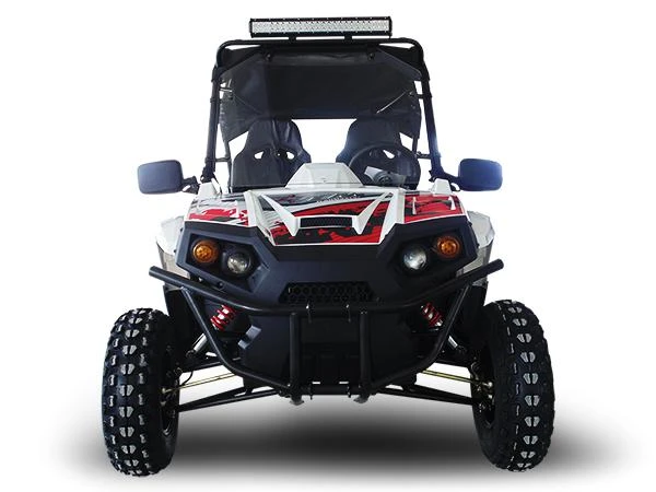 Trailmaster Challenger 300 EX 300cc SXS, front view of the off-road utility vehicle with rugged tires, protective roof, and LED light bar.