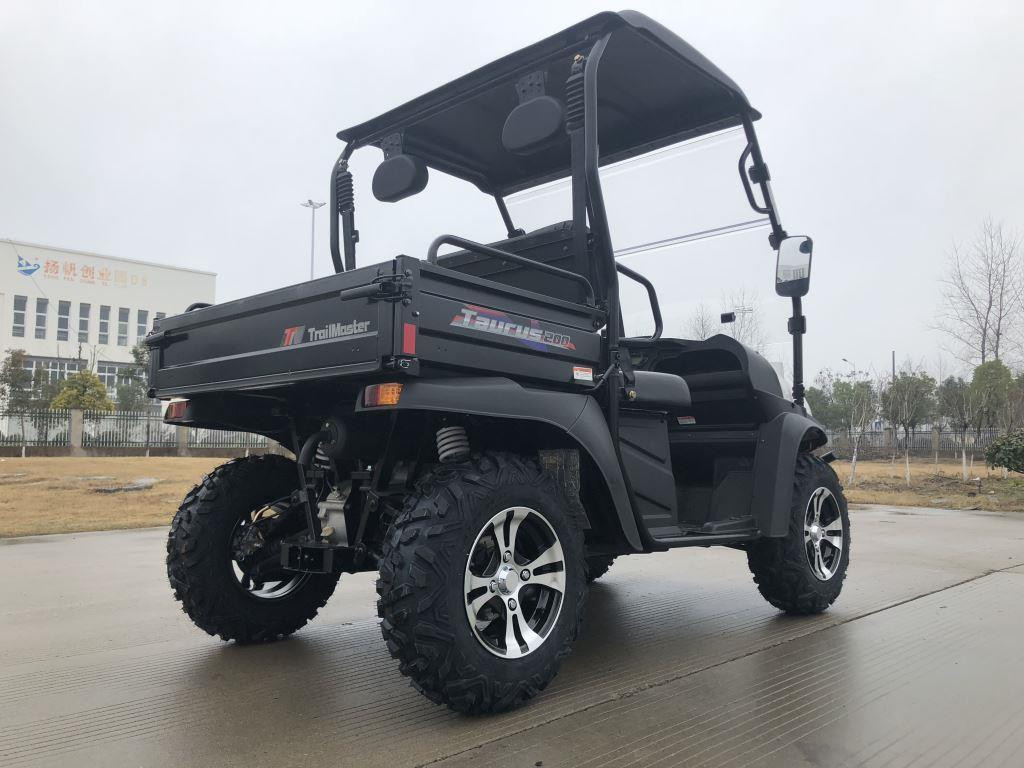Trailmaster Taurus 200U Utility SXS UTV, black off-road utility vehicle with rugged tires and open cabin design.
