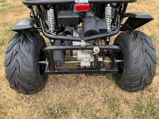 TrailMaster Cheetah 200E EFI Go-Kart/UTV Crossover