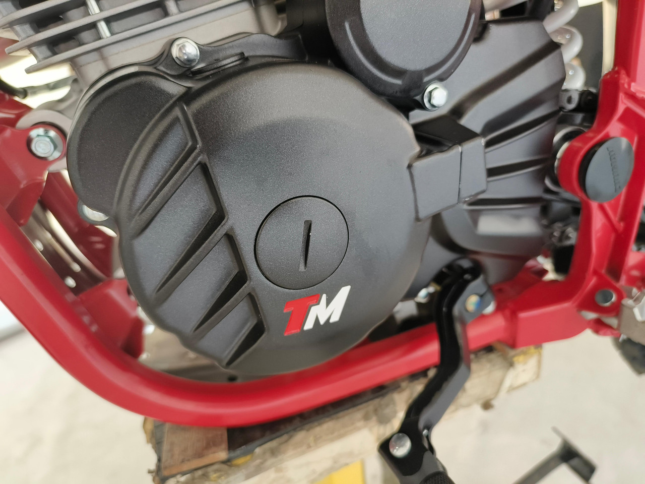 TrailMaster TM35X-250 Deluxe Dual-Sport Dirt Bike, close-up of the black engine cover with the TM logo and red frame.