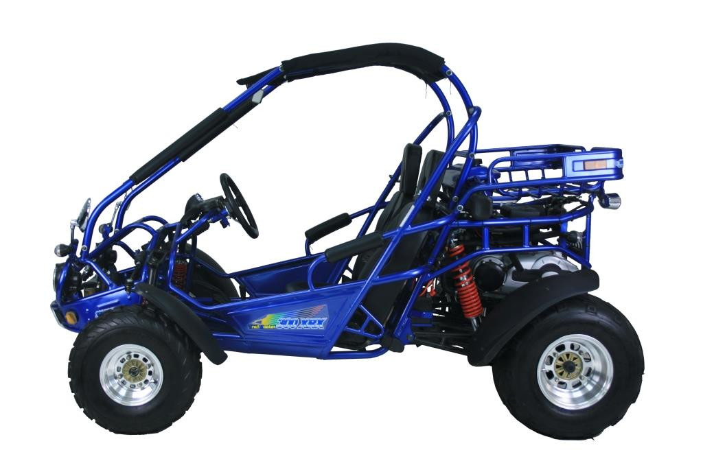 TrailMaster 300 XRX-E Go Karts For Sale 