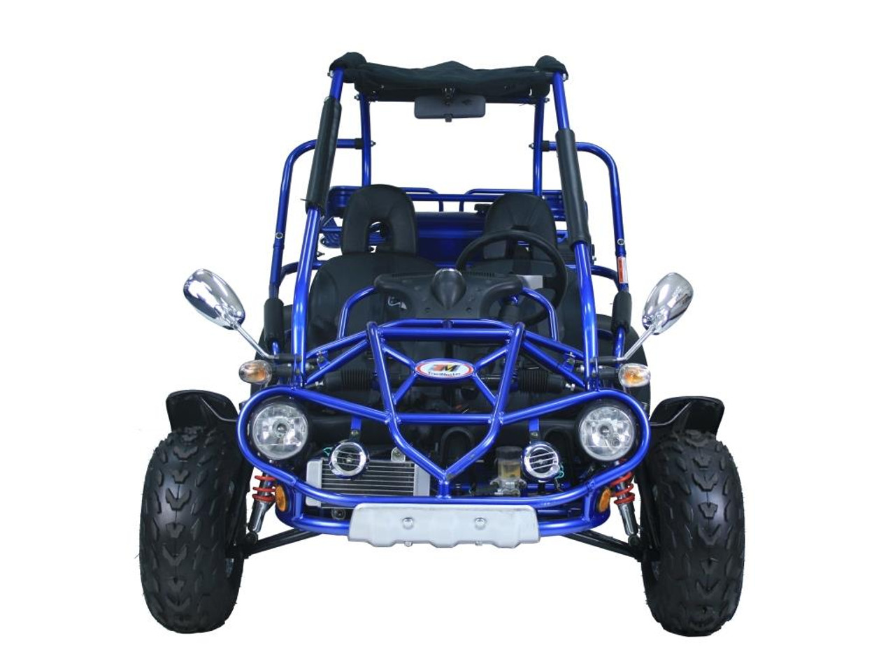 Trailmaster buggy hot sale