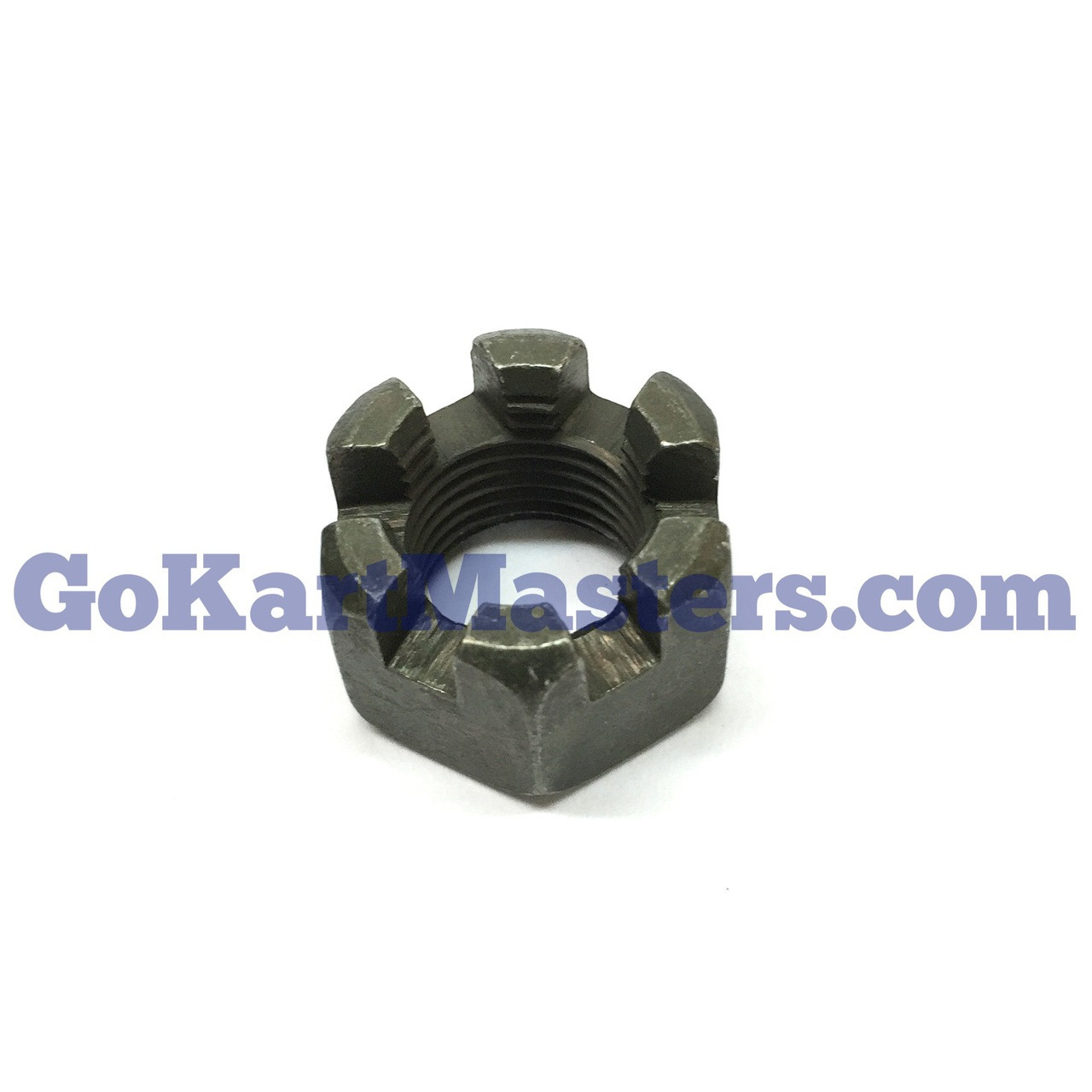 Nut__24824.1466050679.jpg?c=2