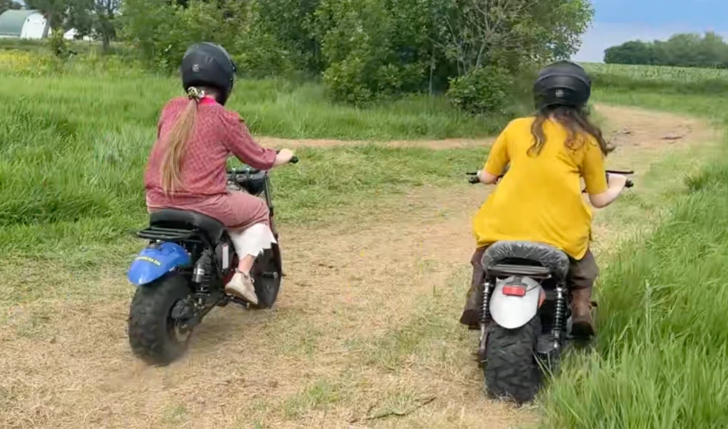 TrailMaster MB200-2 Mini Bike