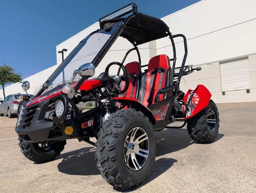 TrailMaster Blazer 200 EX Go Kart, full-size youth and teen go-kart with roll cage, electric start, and reverse feature parked outdoors on a paved surface.