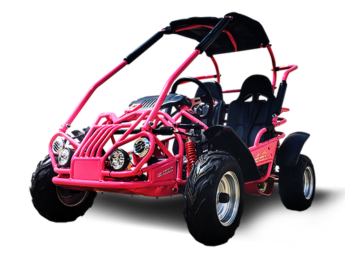 Trailmaster mid size go kart