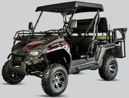 Trailmaster Challenger 200 EGX Golf Cart Style UTV, black and red off-road utility vehicle with large tires, roof, and multiple cargo racks.