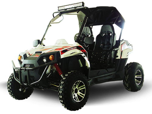 TrailMaster Challenger 300EX go-kart with upgraded suspension and rear cargo rack