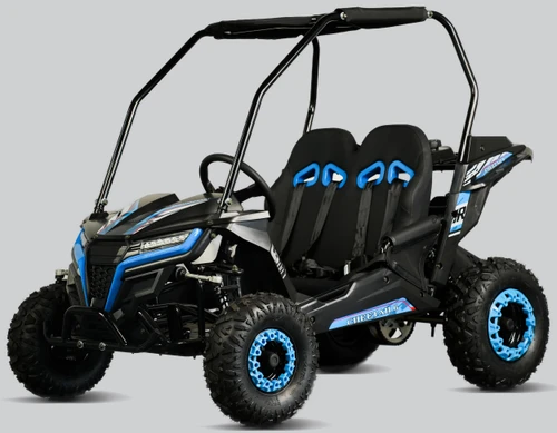 TrailMaster Cheetah 6 Youth Go-Kart, black and blue off-road go-kart with four rugged tires and a safety frame for kids' outdoor racing.