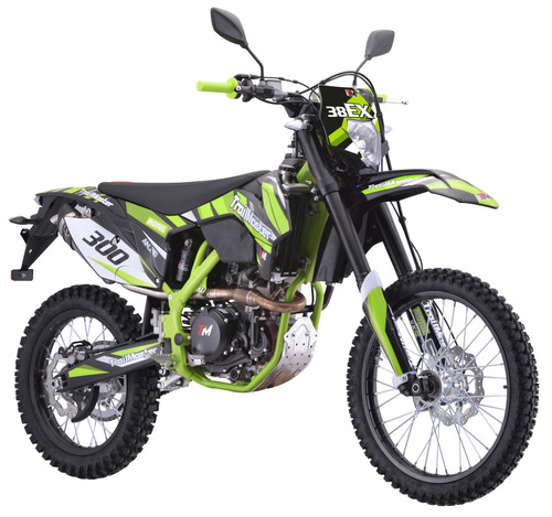 TrailMaster TM38EX (300 EFI) Deluxe Dual-Sport Dirt Bike, a green and black off-road motorcycle with knobby tires, dual front suspension, and racing decals.