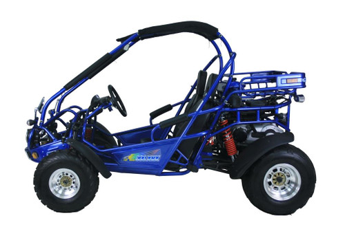 TrailMaster 300 XRX-E Go Kart - Driver's Side
