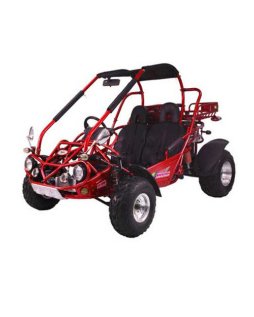TrailMaster 300 XRX-E Go Kart