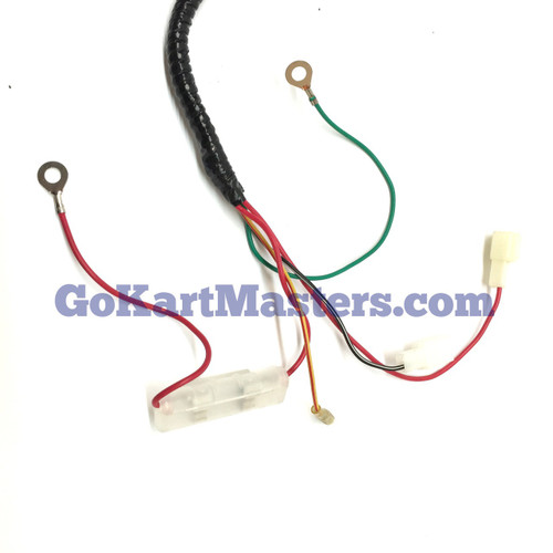 TrailMaster Mid XRX-R & Blazer 200R Wiring Harness