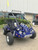 Trailmaster 200E XRX- unplug and enjoy the action on a full size go kart.