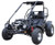 Trailmaster 200 XRS- insanely popular full size  adult dune buggy/go kart with high performance engine, great suspension and electric start