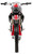 TM MX250 Pro Dirt Bike, front view of a red, black, and white off-road motorcycle with rugged tires, handlebars, and headlight design.