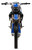 Blue Trailmaster MX250 Pro Dirt Bike