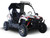 TM Challenger 300 EX 300cc SXS, off-road utility vehicle with rugged tires, sporty design, and safety canopy.