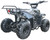 TM 3050c Mini 110cc ATV, black and gray small all-terrain vehicle with rugged tires and sturdy frame for off-road riding.