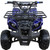 TM 3125R ATV, front view of a blue all-terrain vehicle with rugged tires, protective front bumper, and handlebars.
