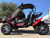 TMBlazer 200EX PREMIUM Sport Go Kart, red and black off-road go-kart with rugged tires, canopy, and safety features.