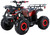 TrailMaster Mid-125R Utility ATV in youth size, shown with 8-inch wheels, front and rear racks, and 125cc engine for teens and beginner riders.