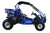 TrailMaster 300 XRX-E Go Kart - Main Picture