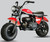 TRAILMASTER MB200 mini bike red