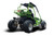 TM 200 XRS EFI Adult GoKart, green and black go-kart with large off-road tires and safety roll cage.