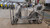 TM Milano 50N Scooter Moped, wrapped in protective plastic and secured in a metal frame for transportation or storage.