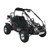 TrailMaster 300 XRX Go-Kart - Black