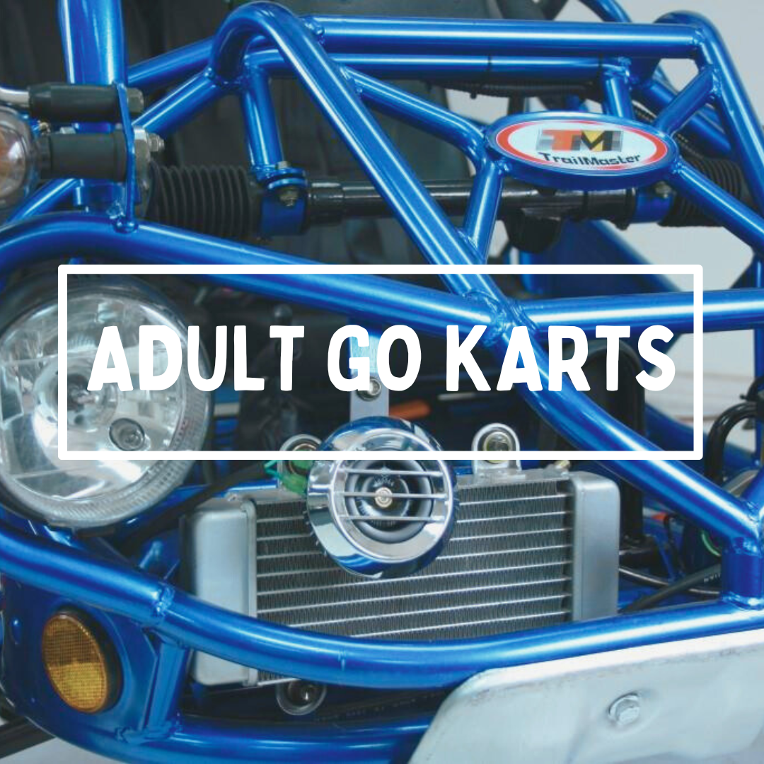 Shop Trailmaster adult go karts category